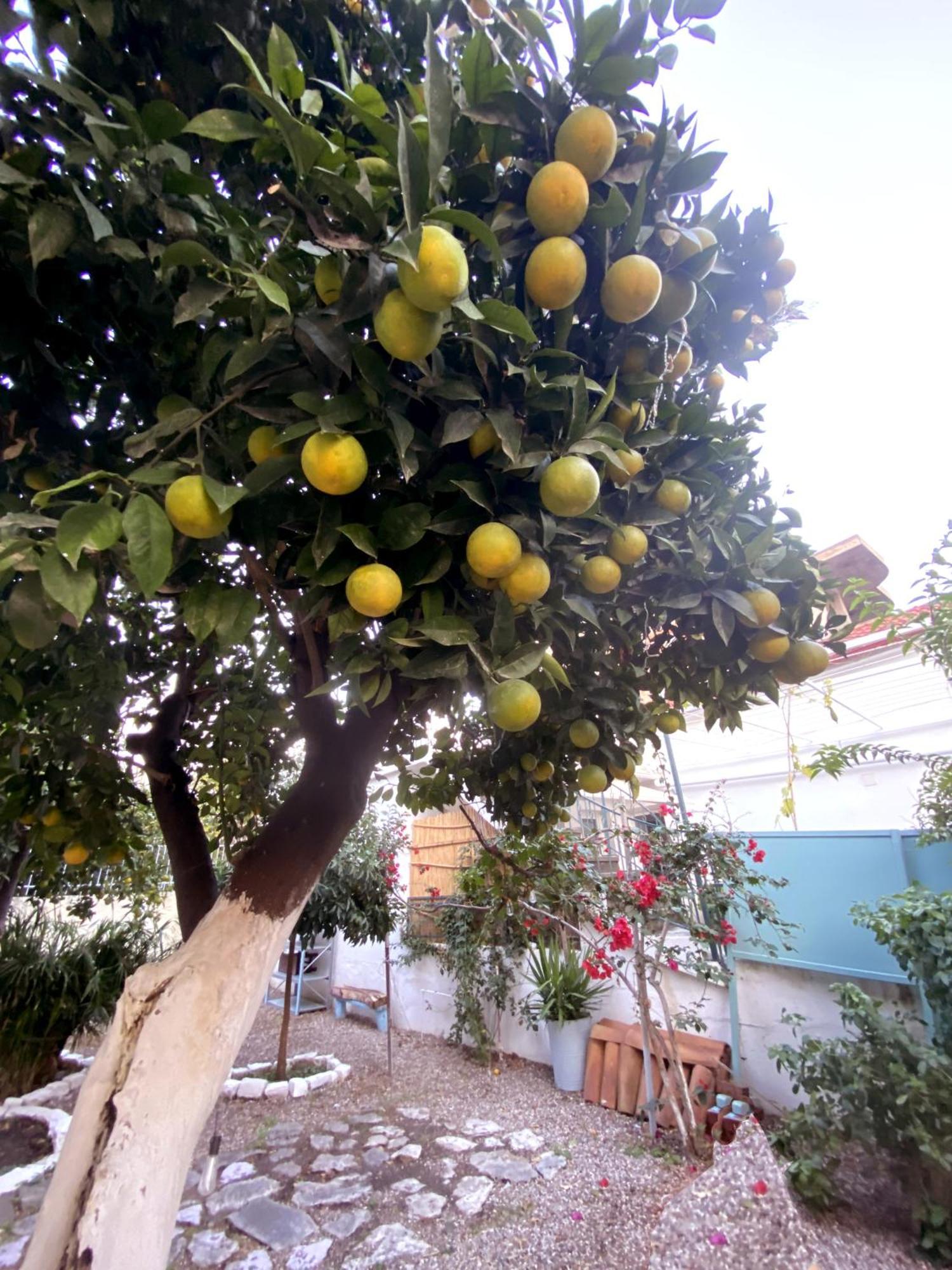Best Located Ruby Luxury Escape Kalamata Bagian luar foto